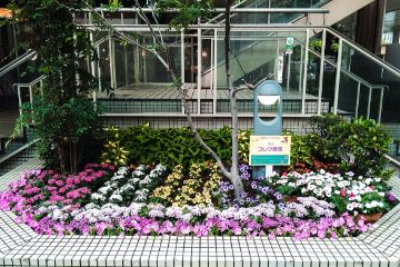 商業施設にて花壇づくりコンテストを実施